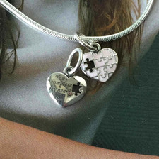 Authentic.925 Solid Sterling European Charm Fit PAN BRACELET AUTISM AWARENESS