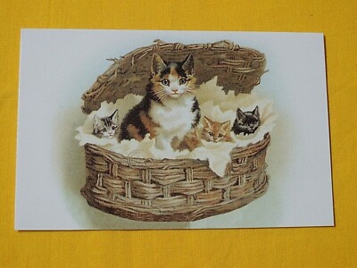 1x Postkarten Katzen mama mit ihren Jungen Retro / Nostalgie Tiere Kätzchen 