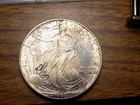AMERICAN SILVER EAGLE 1995 BETTER DATE FROSTY ALBUM TONED UNC WILD TONER! 1 TROY