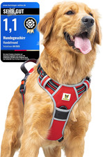 Pettorina per Cani Di Piccola Taglia – Riflettente, Imbottita E Regolabile – Imb