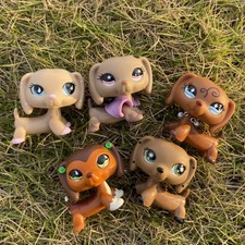 5Pcs Dachshund Little Pet Shop LPS Dog Toy Collectible Figure Pet for Kid Gift