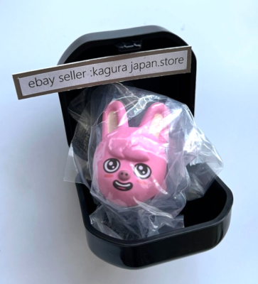 Stray Kids SKZOO RING Changbin DWAEKKI dominATE JAPAN TOKYO DOME