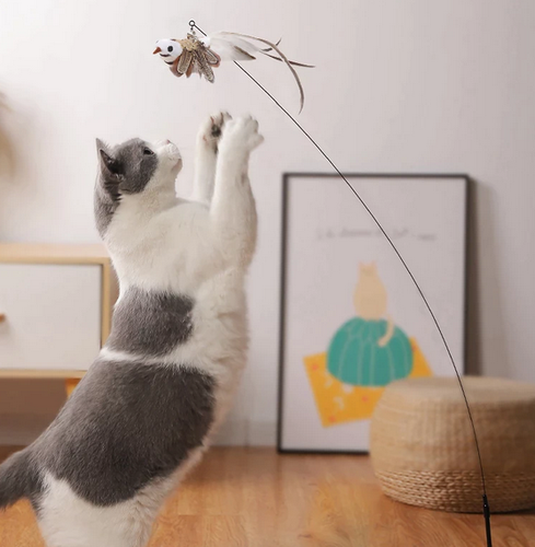 Jouet Interactif En Forme D Oiseau Pour Chat Jeu Avec Plume Amusante Et Cloche Ebay