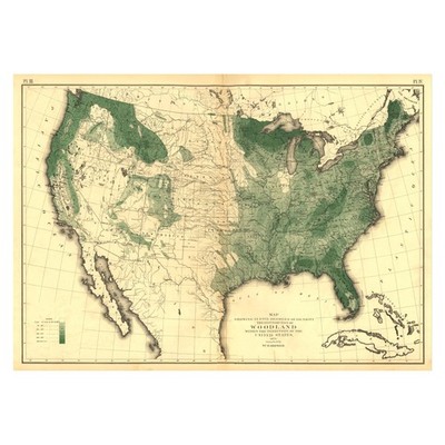 Woodland Density Map of the United States 1873 Historic Territorial Landscape
