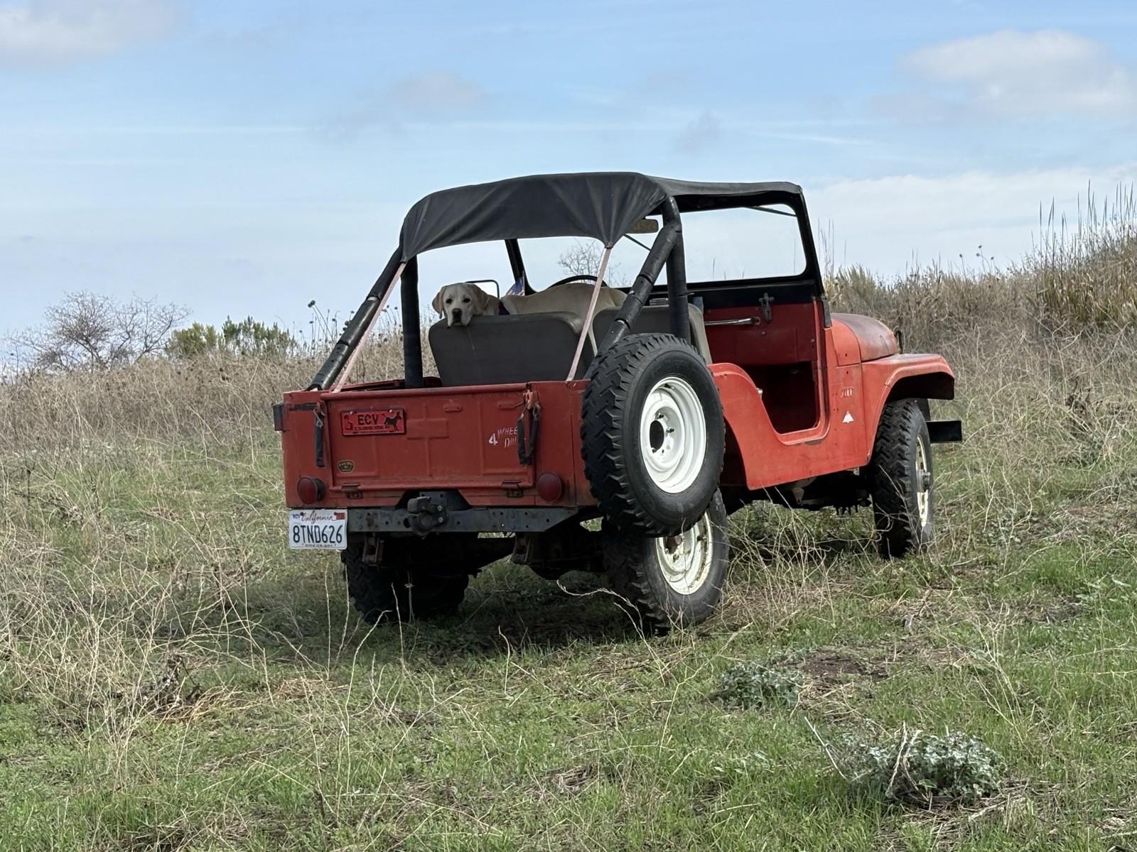 1966 Jeep CJ for sale in Simi Valley California