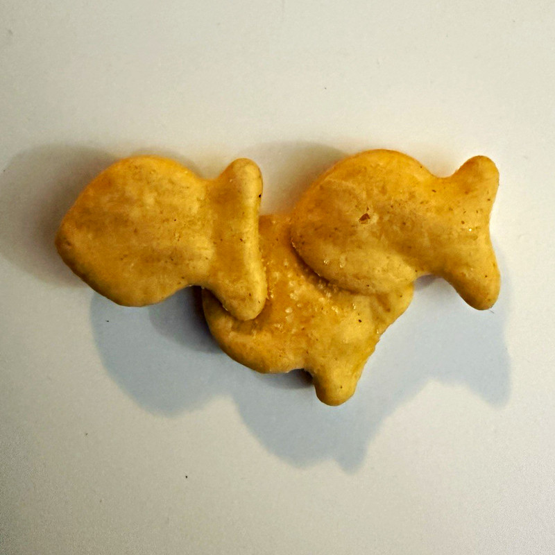 RARE TRIPLE FUSED CHEDDAR GOLDFISH CRACKER