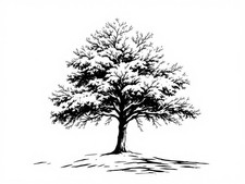 Snow - Covered Tree with Large Branches Wall Art Reusable Stencil - StencilAir