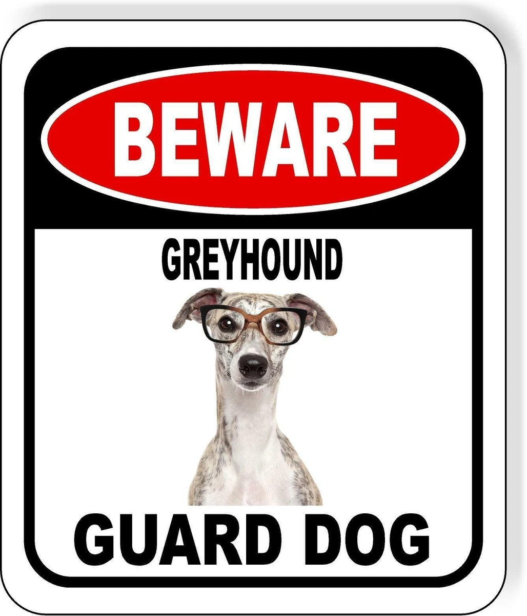 Greyhound as guard dog cheap