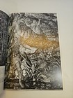 Picture 7 of 8