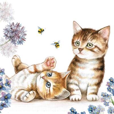 20 Servietten Katzen Bienen Tiere Frühling Sommer Motiv Cats and Bees 33x33cm
