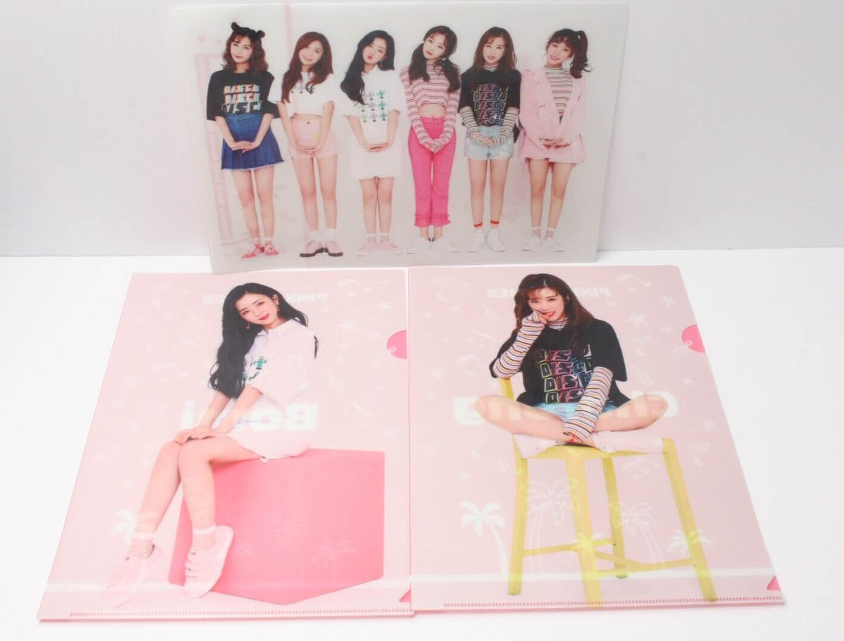 Apink 公式クリアファイルセット　レアグッズ Apink Official clear file holder 13 types set K-pop | eBay