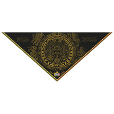  World Scout Mexican Centenary Scarf 100 Years Special Edition Jamboree Moot