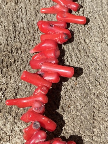 VTG Red Branch Coral Necklace - Imagen 2 de 7