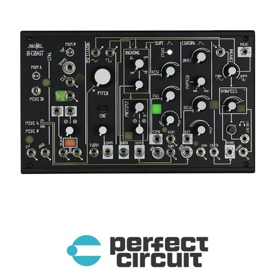 Make Noise 0-Coast Desktop Modular SYNTHESIZER - NEW - PERFECT CIRCUIT