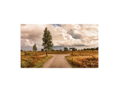 Wandbild Leinwand Lüneburger Heide Landschaft Dekoration Original 80 x 40 cm