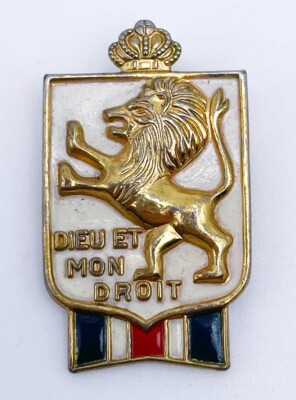 VTG WW2 War Relief Bundles Dieu Et Mon Droit Accessocraft BWRS Lion Pin ...