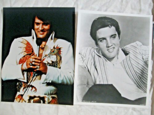 ELVIS PRESLEY - 7 GROSSFOTOS in Farbe & S/W 20x25 cm "The King" - Bild 2 von 4