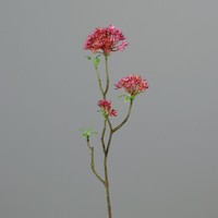 Bouvardienzweig 55Cm Pink Ga Kunstblumen KüNstliche Bowardien Bouvardien Blumen