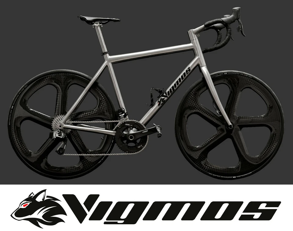 Vigmos Diva Titan Unikat Etap disc vollintegriert Rennrad bici worlds best