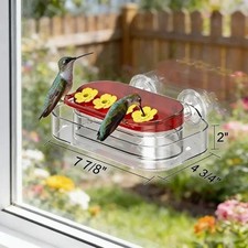 Window Hummingbird Feeder with Strong Suction Cup and 4 Feeding Ports New