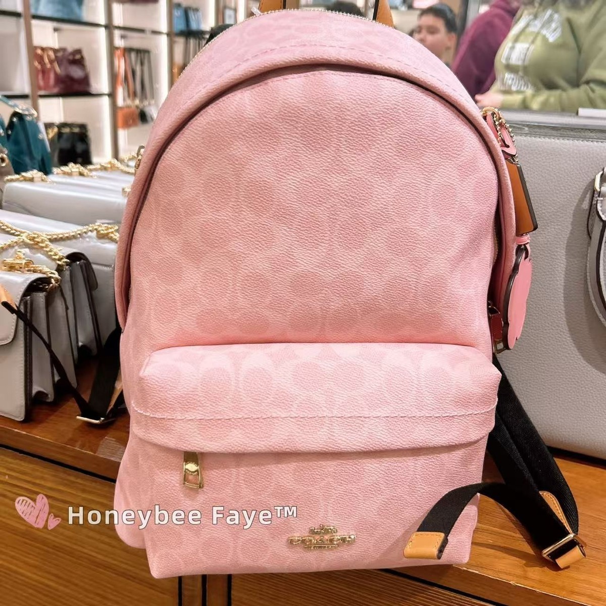 NWT！COACH Taylor Backpack In Signature Canvas With Charms Coach Powder Pink Taylor Small Backpack In | Mercari main image 2