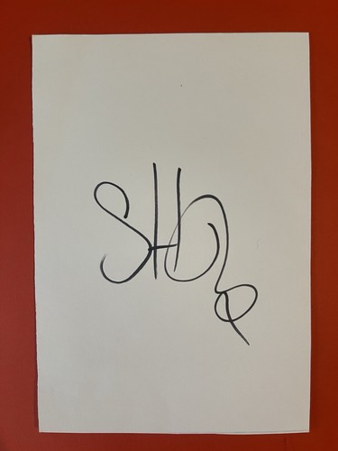 Steffen Højer- Denmark Footballer Signed 6x4 Photo