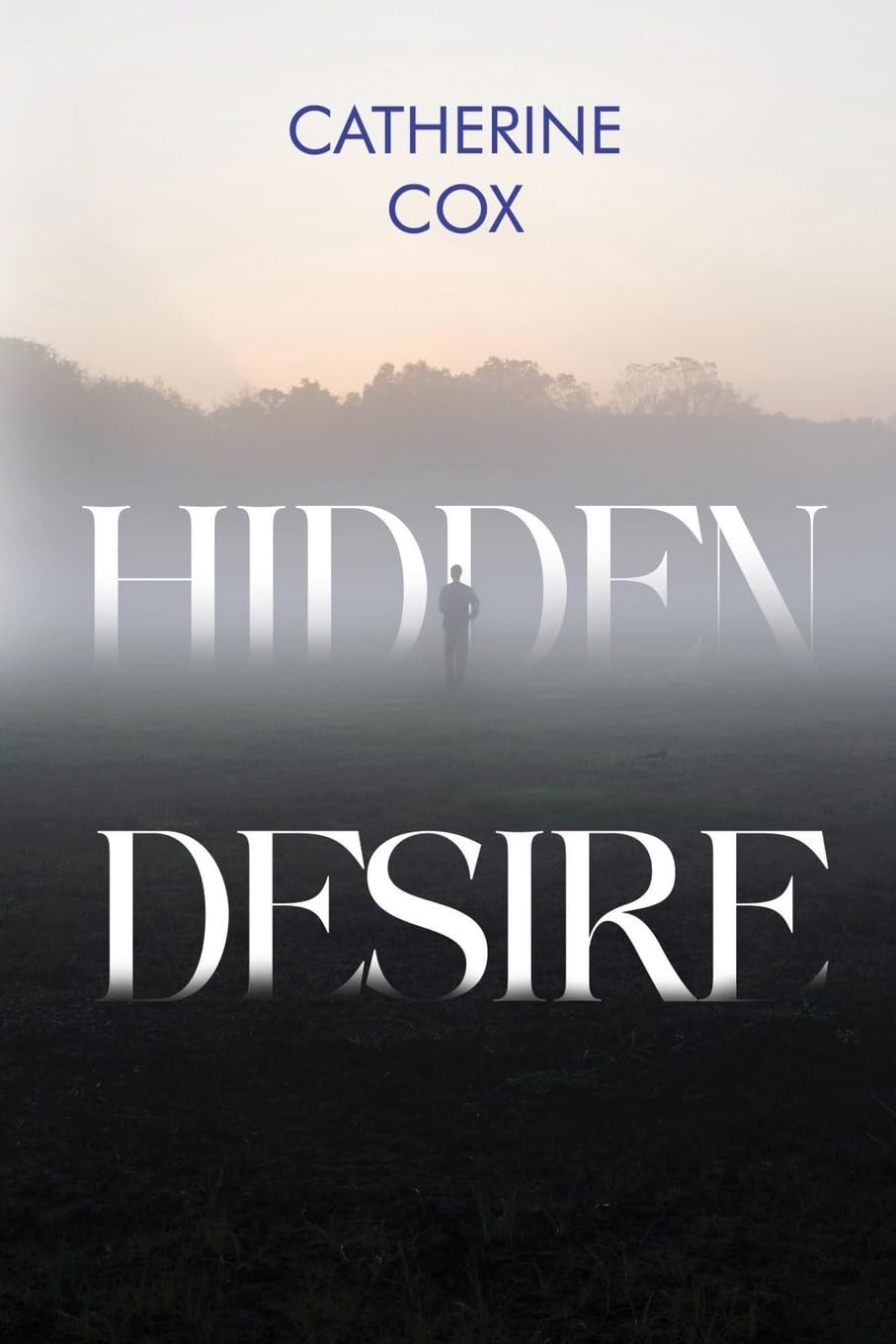 Hidden Desire.by Cox, Cox,  New 9781837940844 Fast Free Shipping**