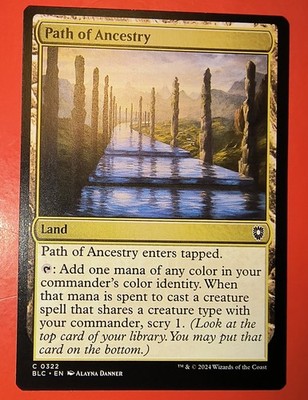 MTG, MAGIC, PATH OF ANCESTRY, 0322, BLC, REGULAR, COMMON, NM