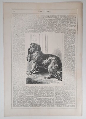 1874 Victorian Art Engraving, Dog Fetching Master's Slippers - A. T. Elwes