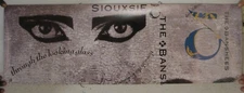 Siouxsie And The Banshees Poster Through The Looking Glass