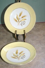 Century Service Corp - AUTUMN GOLD - 6" Saucers Quantity 2