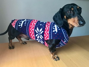 dachshund christmas jumper