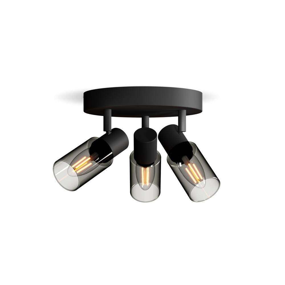 Philips Palms 8720169299351 Faretto da soffitto E14 Nero