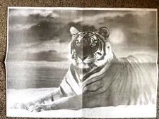 Tri-Chem Ready to Paint Liquid Embroidery VTG 7263 TIGER Big Cats COL