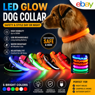 Dog Collar Nylon LED Night Safety Flashing Glow In The Dark Pet Dog Leash pet Do