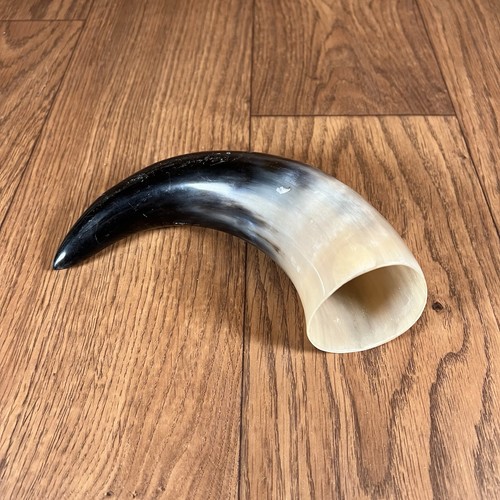 1 Polished Cow Horn Natural Colored