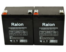 Raion Power 12V 5Ah T2 F2 Battery For Ultramax NP4.5-12 - 2 Pack