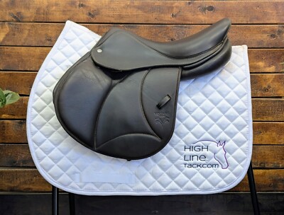 16'' Voltaire Palm Beach 00A (2022) *FIN Panels*Extra Short Flaps*