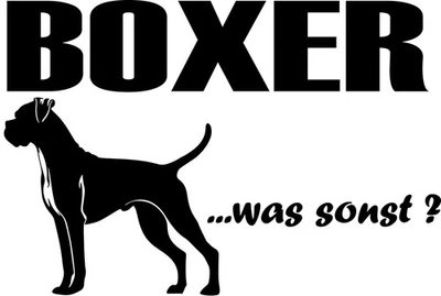 AUFKLEBER BOXER sticker Autoaufkleber Schriftzug “Boxer ...was sonst?" - Bild 1 von 3