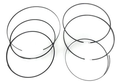 Unbranded 6 Piece Ring Set Kit For Raymond 828-005-550 NOS