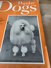 Popular Dogs Magazine May 1955 Miniature Poodle Old Advertising  — photo 2