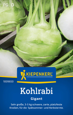 Kohlrabi * Gigant * MHD 01/29 Spätsommer- u Herbsternte Kiepenkerl Samen 1009650