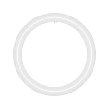 12 in. T9 G10q Type A Plug & Play Circline LED Replacement for 32 Watt FCL32W