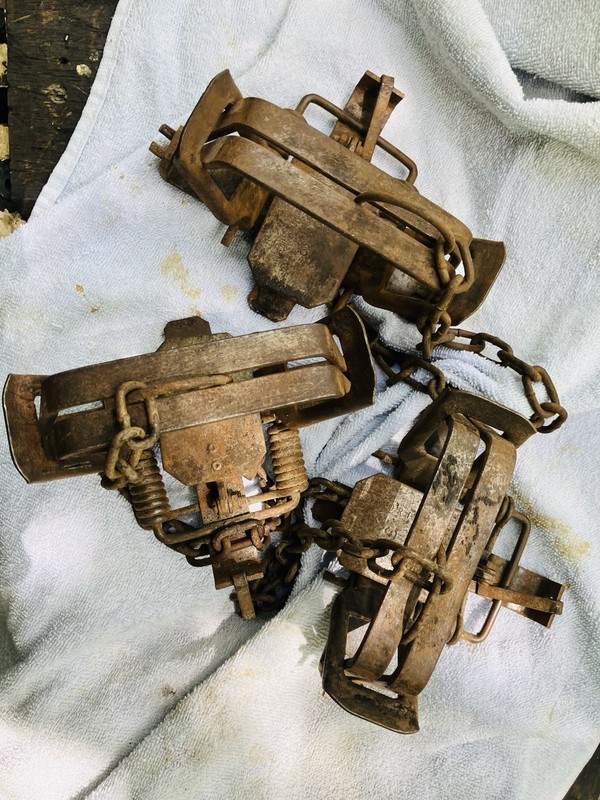North Woods #3 Animal Traps Vintage