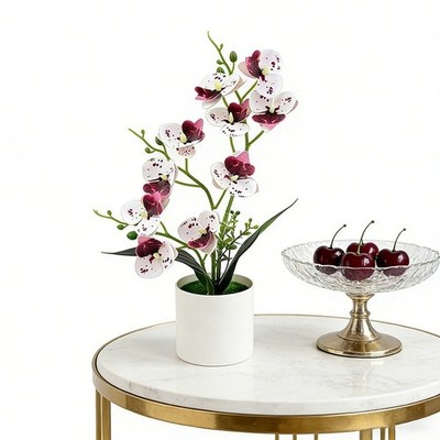 Realistic Looking Phalaenopsis Orchid Stem in Round Pot for Any Interior
