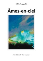 Sylvie Fargepallet | ÂMes-En-Ciel | Taschenbuch | FranzöSisch (2024)