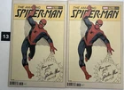 The Amazing Spider Man # 75 Steve Ditko 1:50 Color  Hidden Gem Marvel Lot Of 2