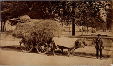 France, Homme et sa charrette à buffles, Vintage print, ca.1870 Tirage vintage
