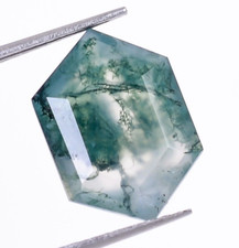 Natural Moss Agate Brilliant Cut Hexagon Shape 14X10mm Healing Gemstone 5.20 Ct.