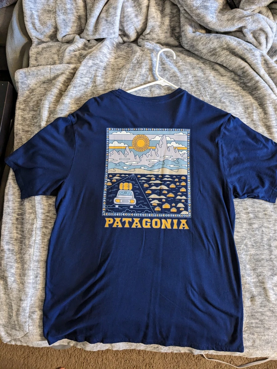Buy patagonia t best sale shirt